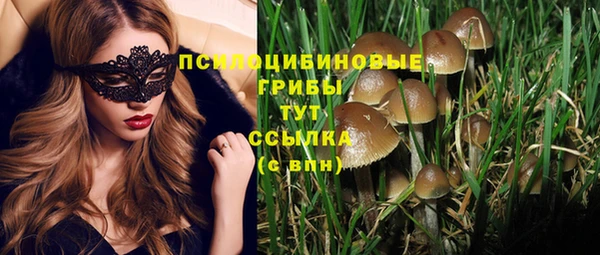 соль курить ск Армянск