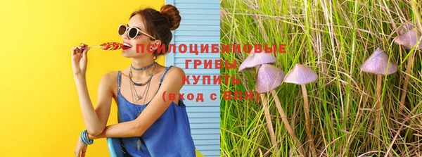 марки lsd Аркадак